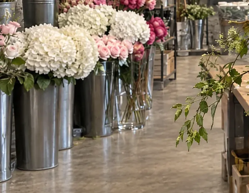 Hydrangeas in steel buckets on a polished concrete floor